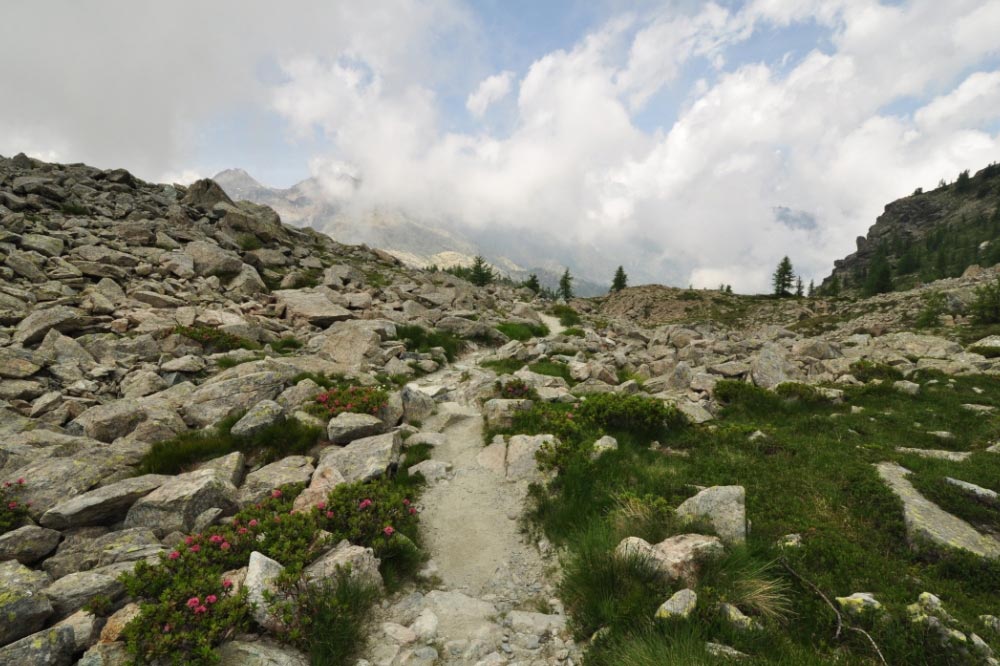 Parco Naturale Mont Avic